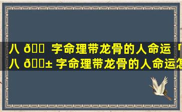 八 🐠 字命理带龙骨的人命运「八 🐱 字命理带龙骨的人命运怎么样」